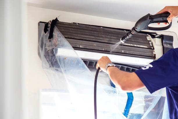 Best Air Duct Mold Removal  in Lakewood Clu, MI